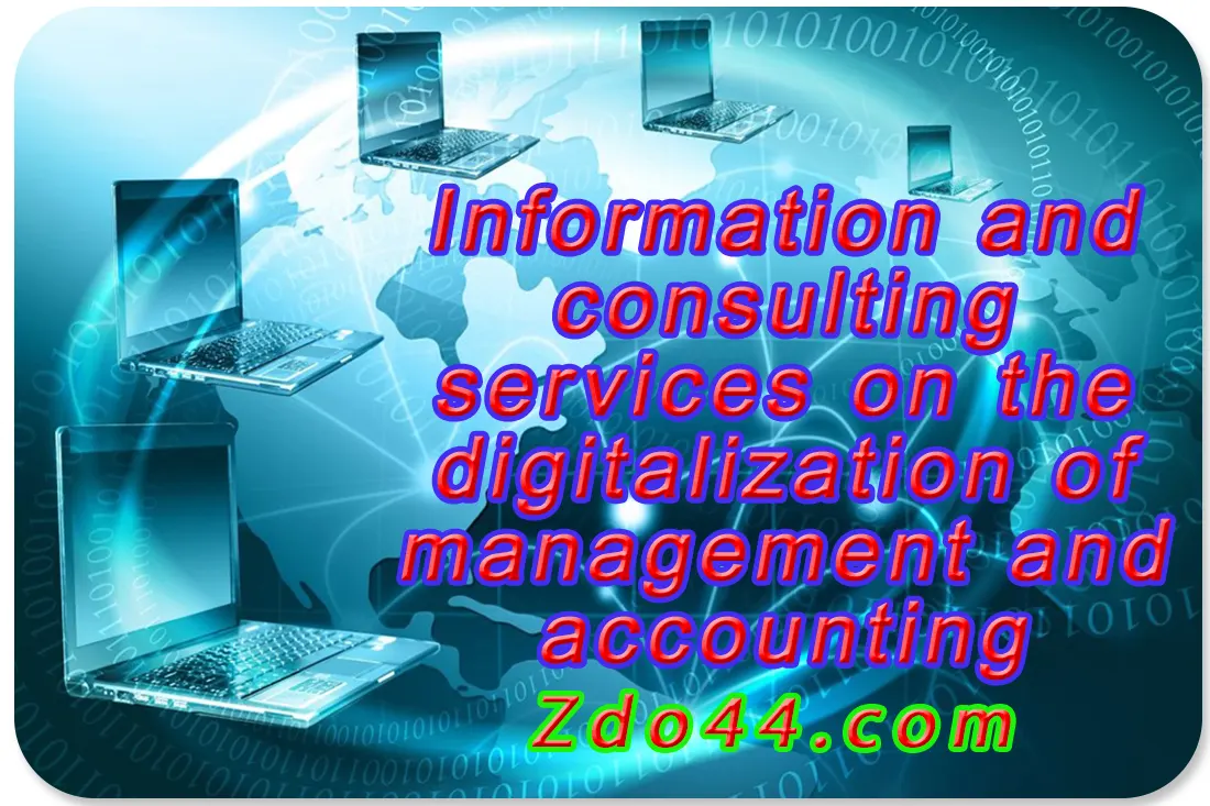 Information and consulting services in the digitalization of management and accounting